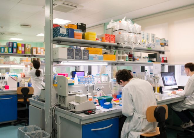 As financial prospects for gene therapies dim, ambitious charity steps up
