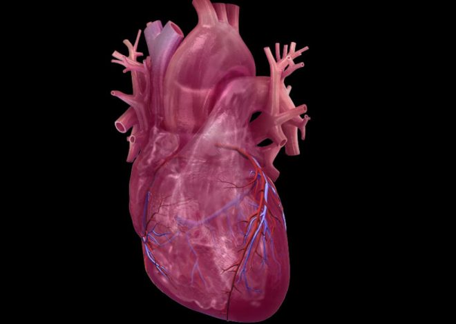 Study outlines combination method to predict heart attack risk