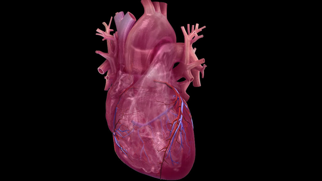 Study outlines combination method to predict heart attack risk