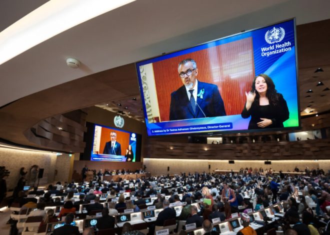 WHO members adopt pandemic treaty, as U.S. shuns meeting