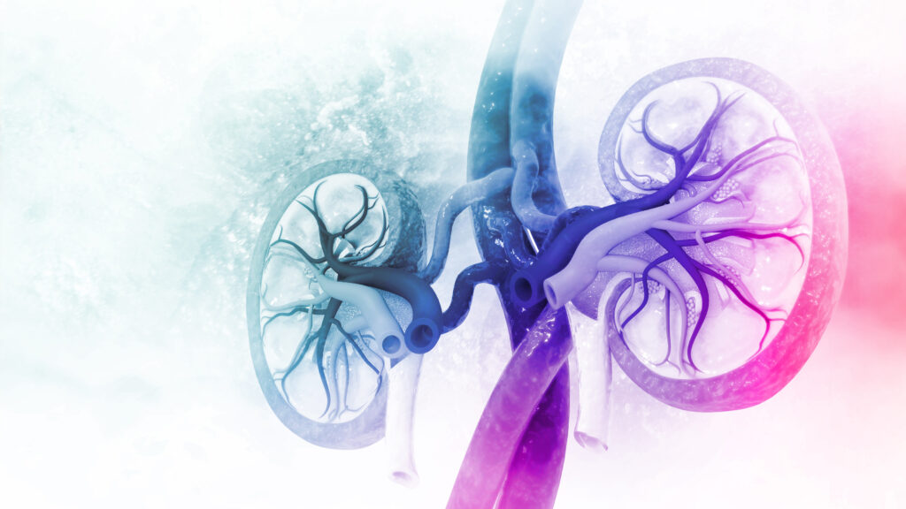 Otsuka bests Vera Therapeutics in kidney disease showdown