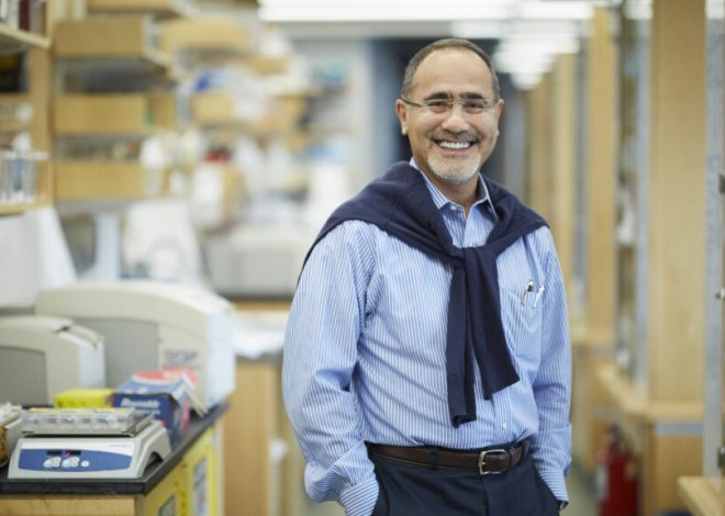 Harvard prof turns to private equity to counter Trump research cuts