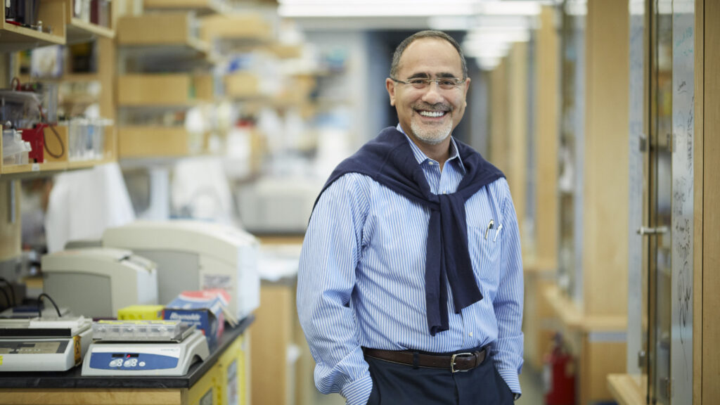 Harvard prof turns to private equity to counter Trump research cuts