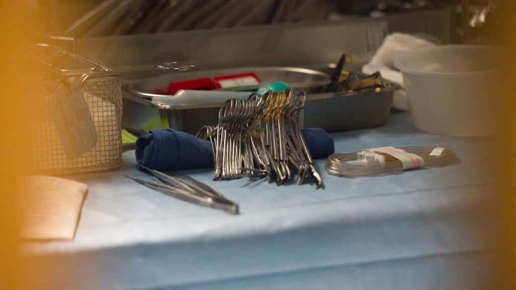House oversight panel scrutinizes organ transplant system