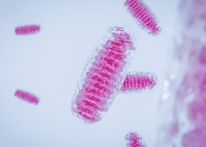 Eight healthy babies born in U.K. using ‘three-parent IVF’