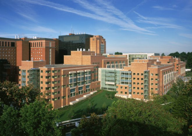 STAT+: Supreme Court lets Trump slash NIH research funds