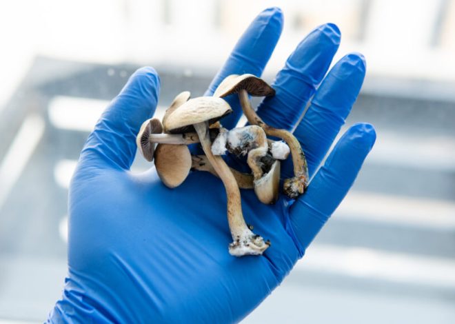 Compass Pathways expects earlier FDA decision on psilocybin drug