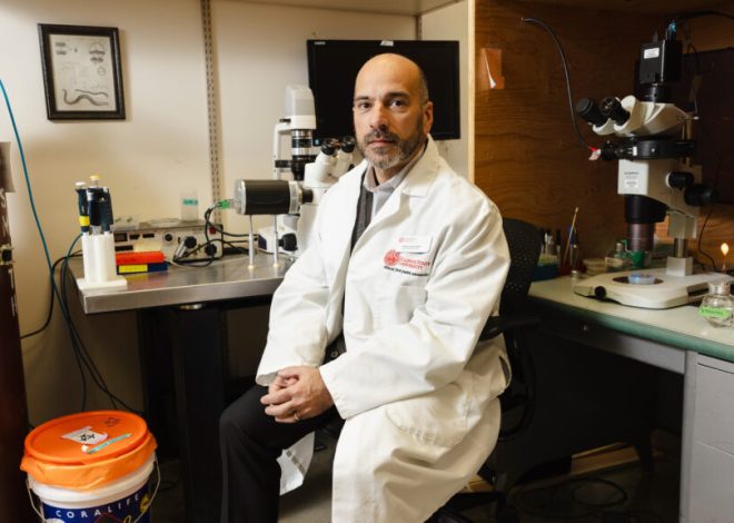 NIH funding survey shows sizable impact of foreign subaward ban