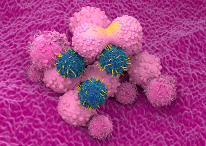 CREATE Medicines, biotech developing CAR-T therapies, raises $122M