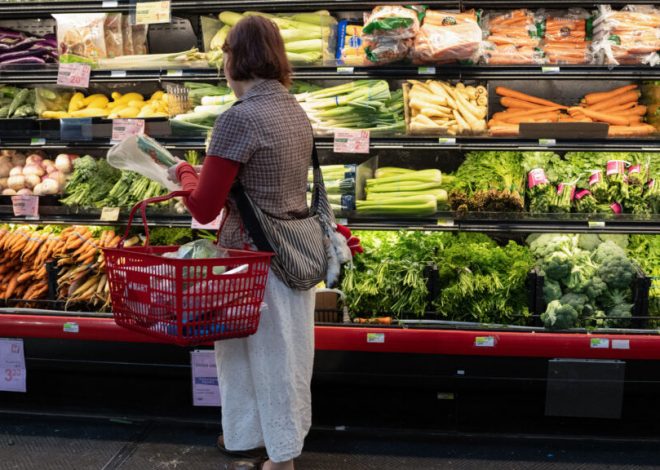 Cyclospora wake-up call: ‘Eat Real Food’ relies on robust food safety