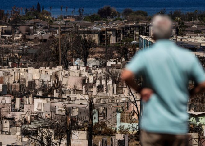 Risk from toxic metals can persist months after wildfires, Maui study finds
